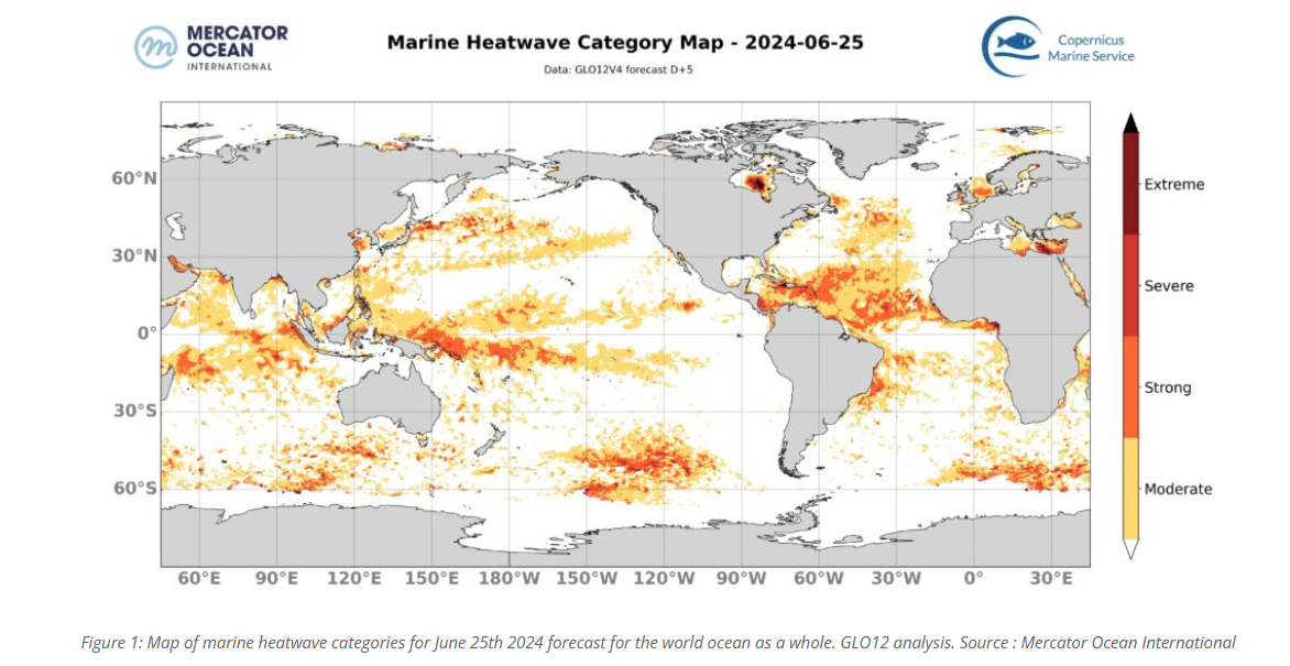 Marine Heatwave Forecast June 25th 2024