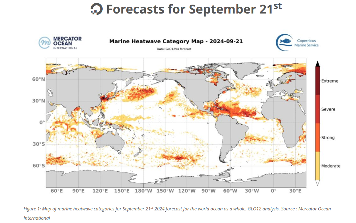 Marine Heatwave Forecast SST 9-21-2024