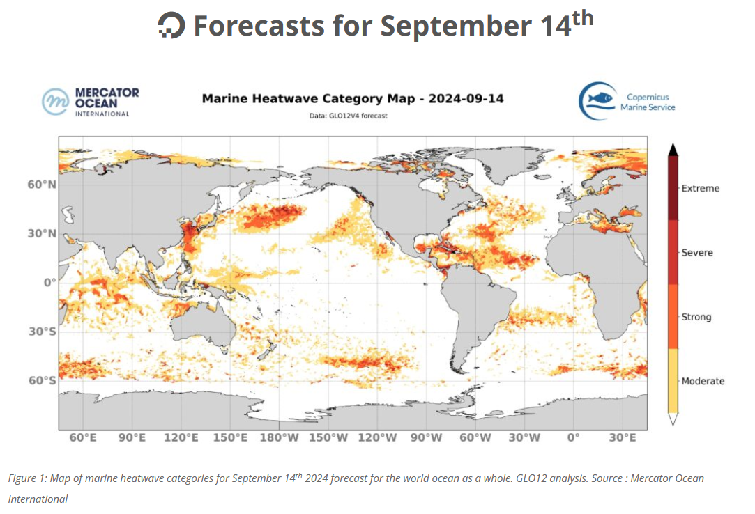 SST- Sept 14, 2024