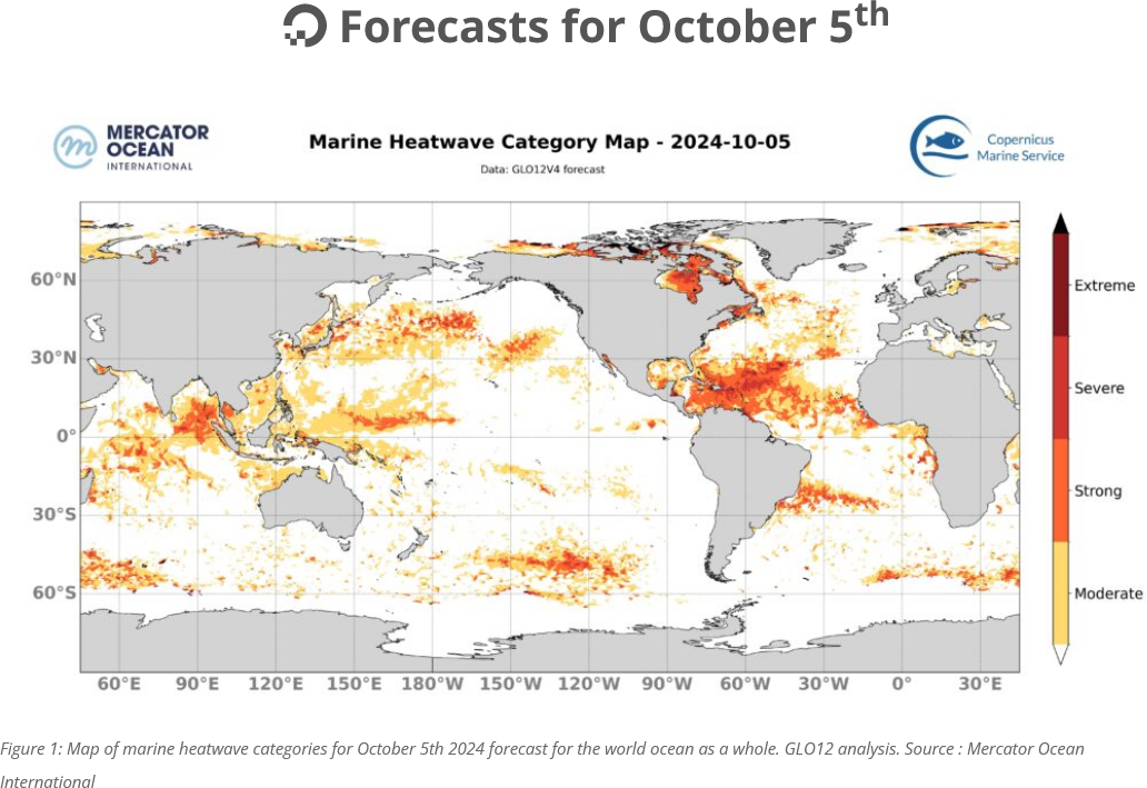 Marine Heatwave Forecast OCt 5 2024