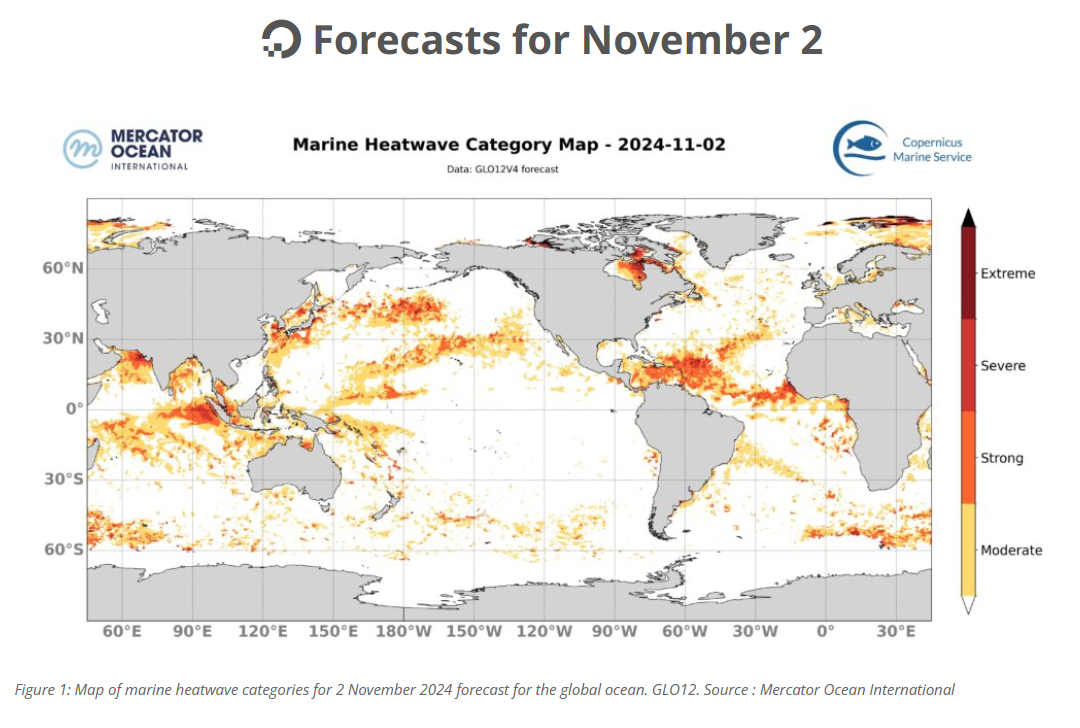 Ocean Temp Forecast Nov 2