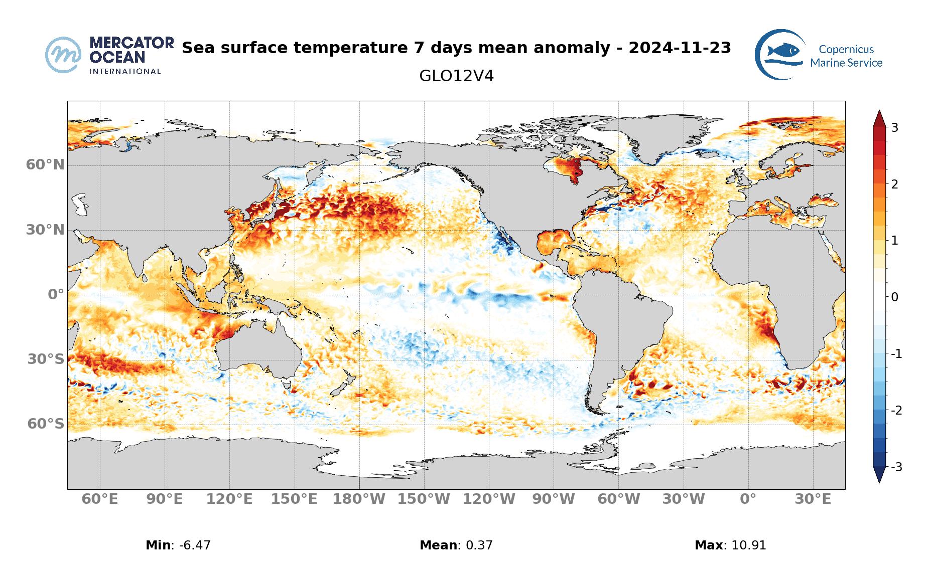 SSTA 11/23/2024