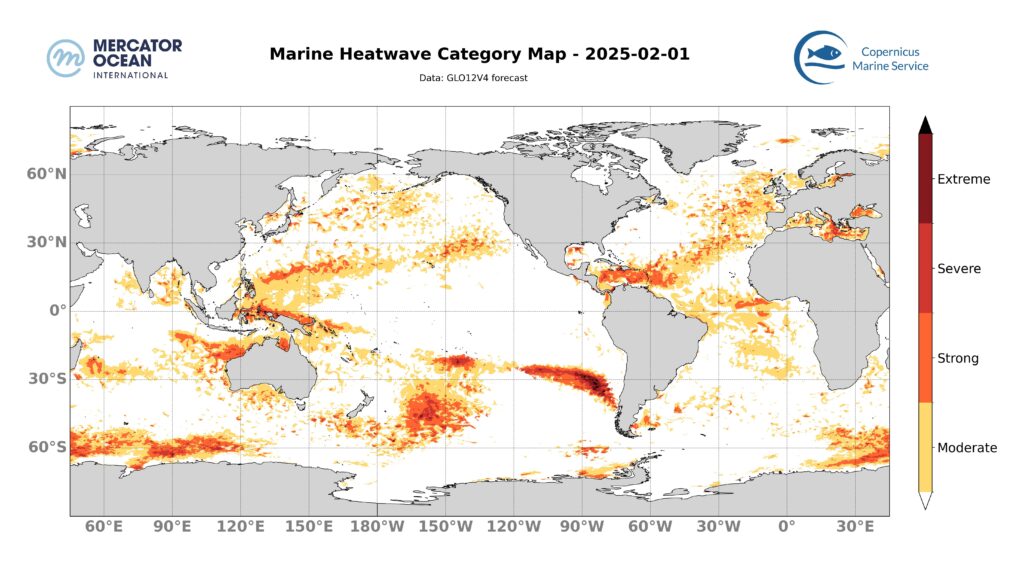 Marine heatwave categories for 1 February 2025 (global ocean). GLO12. Source: Mercator Ocean International