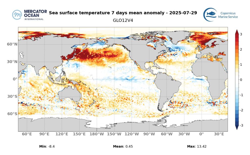 Mean sea surface temperature anomaly map for the week 3 to 9 August, 2025. Global Ocean. Credit: Mercator Ocean International 