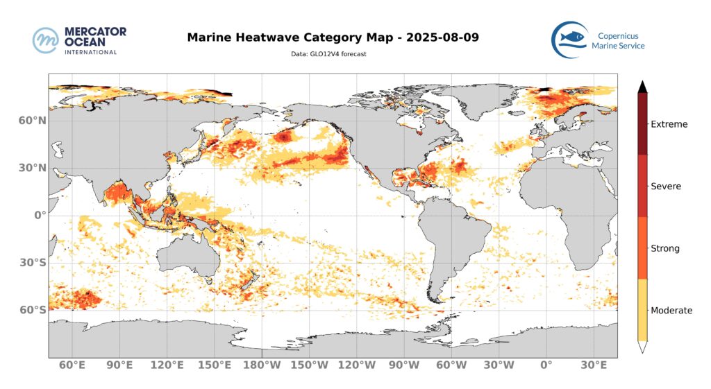 GLOBAL SST