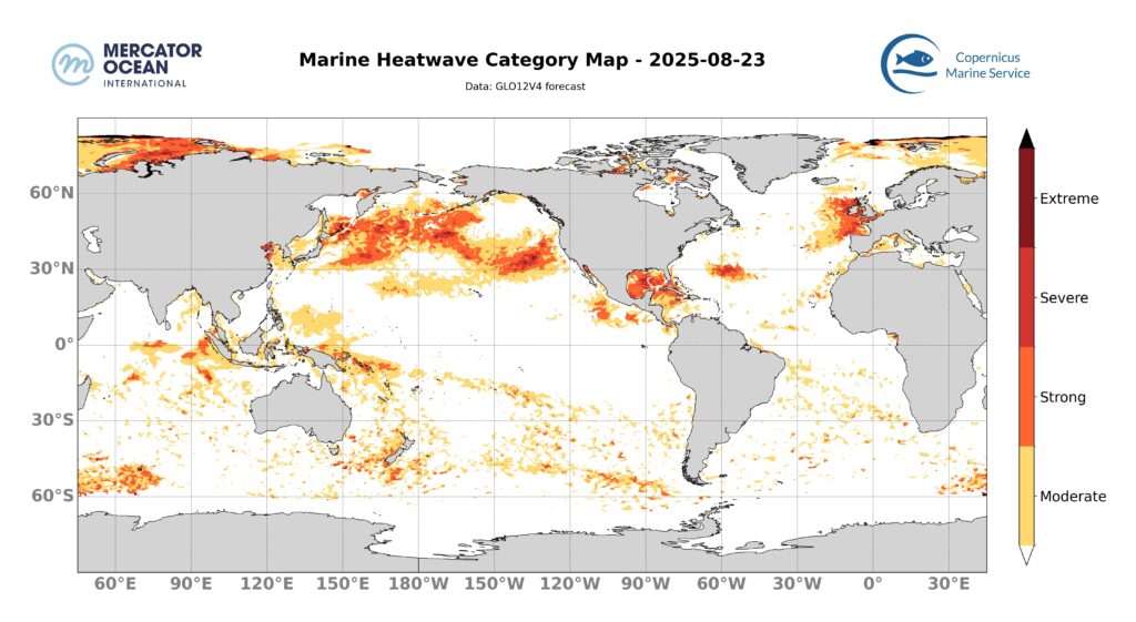 Marine heatwave categories for 23 August, 2025. Global. Credit: Mercator Ocean International.