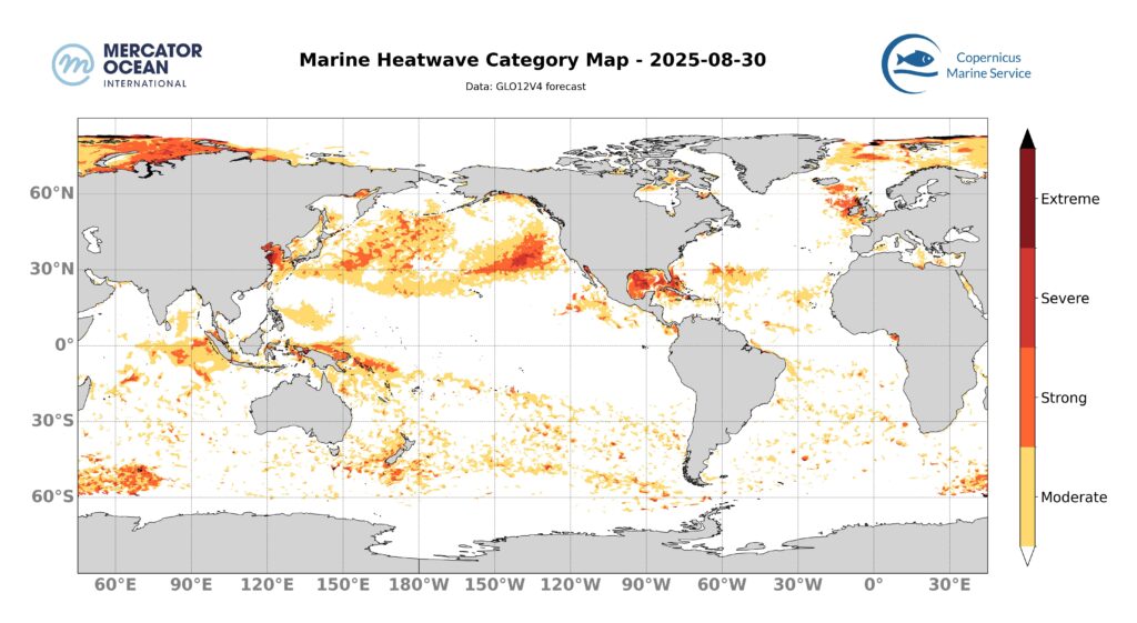 Marine heatwave categories for 30 August, 2025. Global. Credit: Mercator Ocean International.