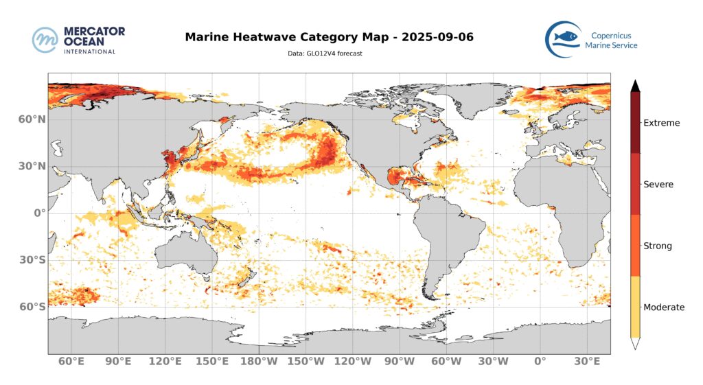Marine heatwave categories for 6 September, 2025. Global. Credit: Mercator Ocean International.