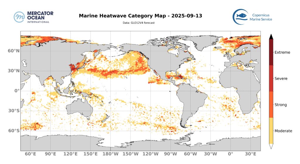 Marine heatwave categories for 13 September, 2025. Global. Credit: Mercator Ocean International.