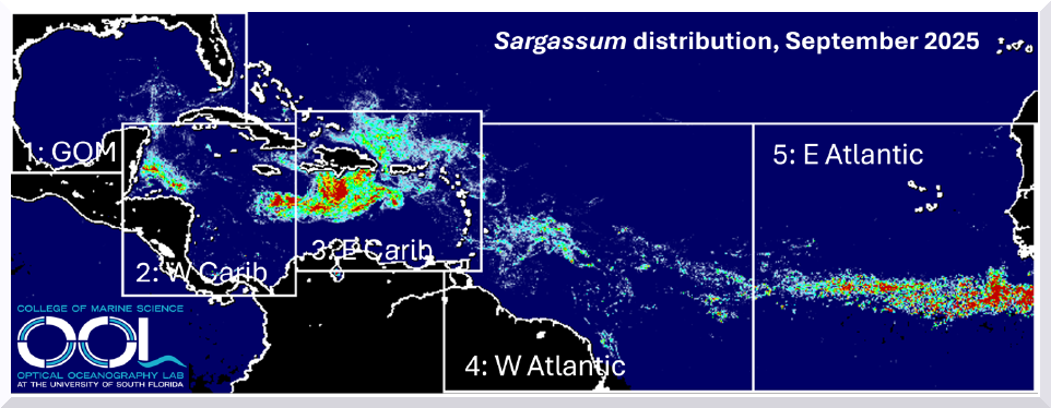 Sargassum Outlook Sep 30, 2025