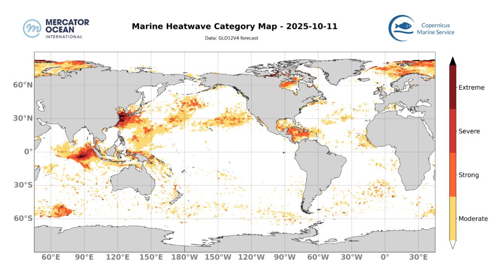 Marine Heatwave Category Map 10/11/2025