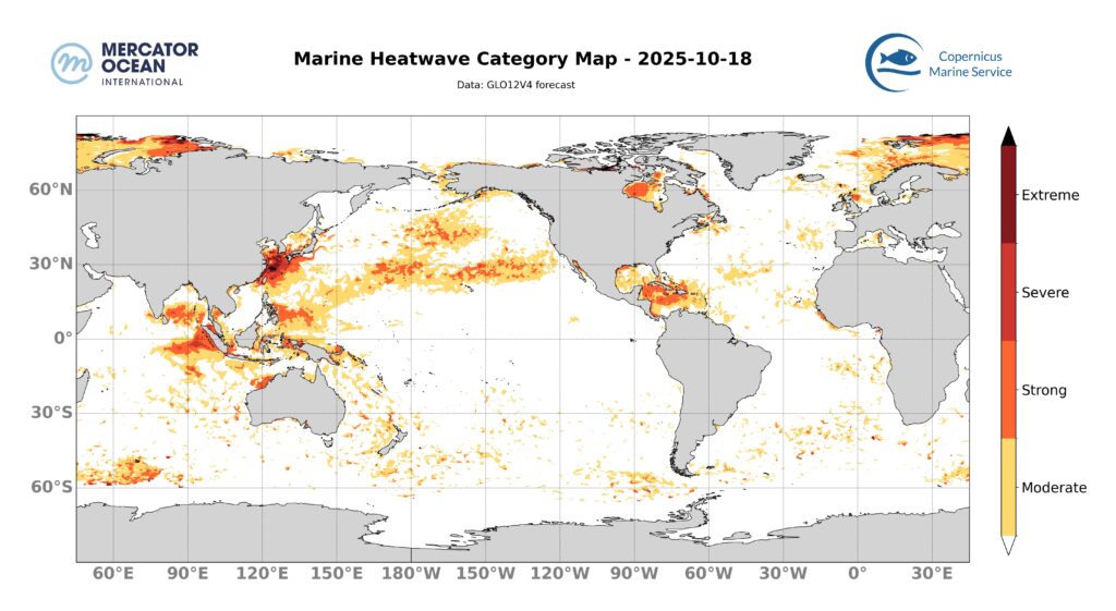 Global Ocean SST Oct 18 2025