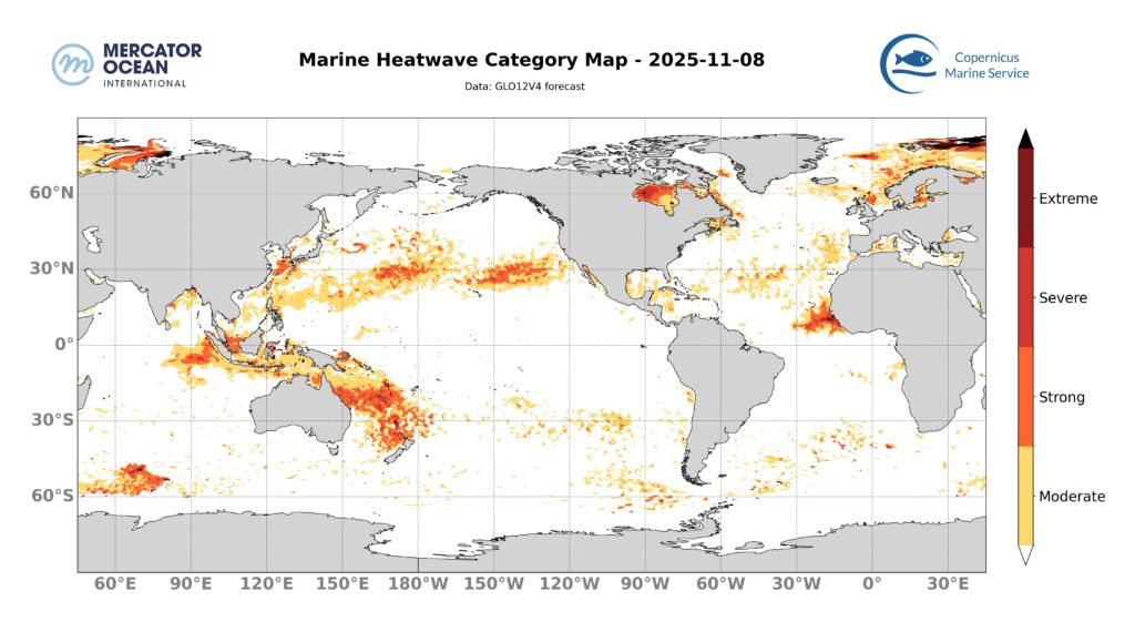 Marine heatwave categories forecast for 8 November, 2025. Global Ocean. Credit: Mercator Ocean International