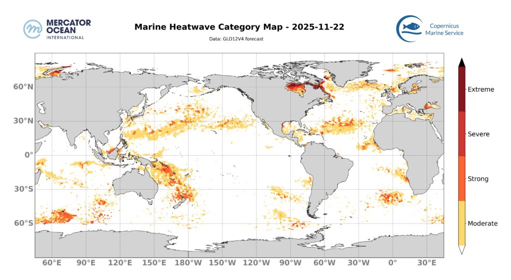 SST Forecast 11/22/2025