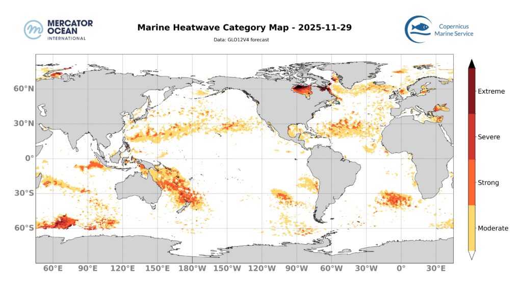 Marine heatwave categories forecast for 29 November, 2025. Mercator Ocean International