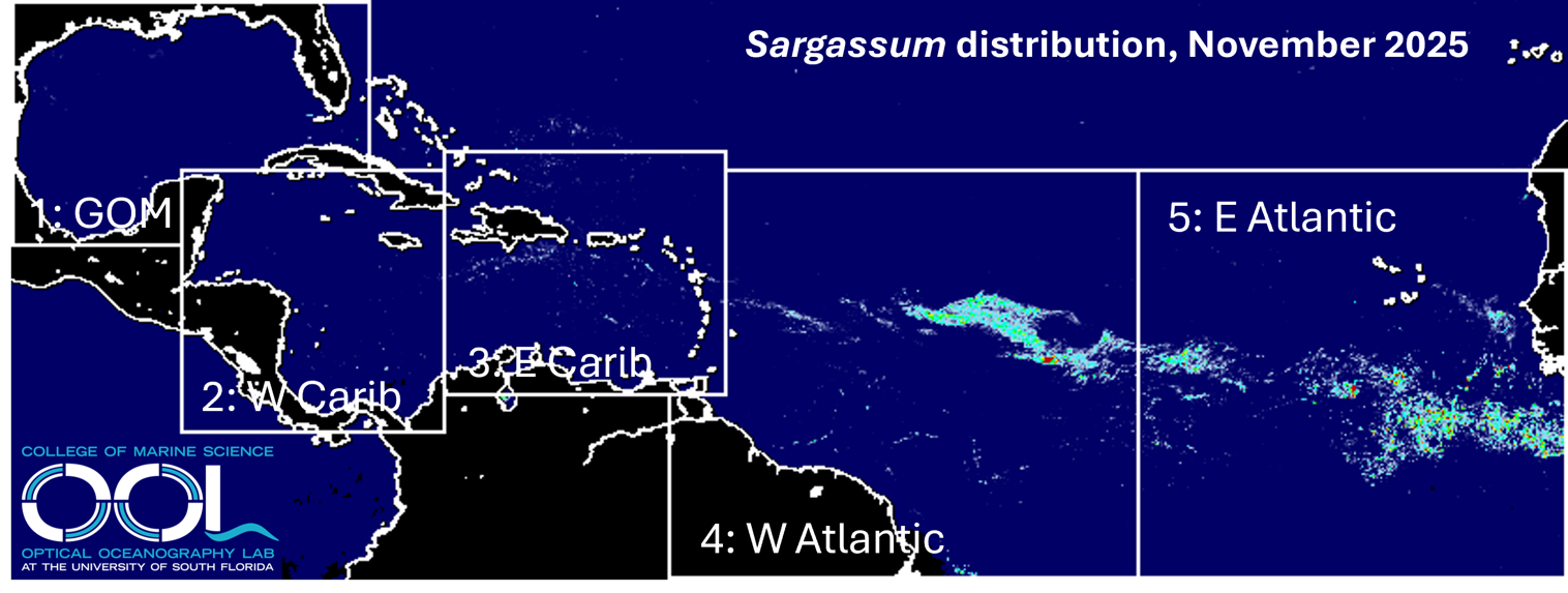 Sargassum Outlook Dec 1 2025