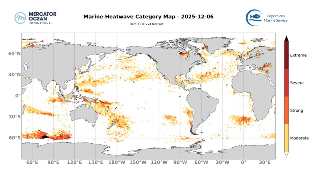 SST categ_global_GLO12V4_SST_0m_FCST_2025-12-06-1-1024x561