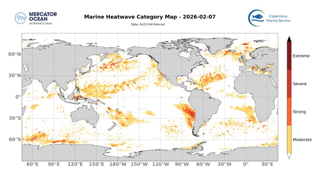 Marine Heat Wave Feb 7 2026