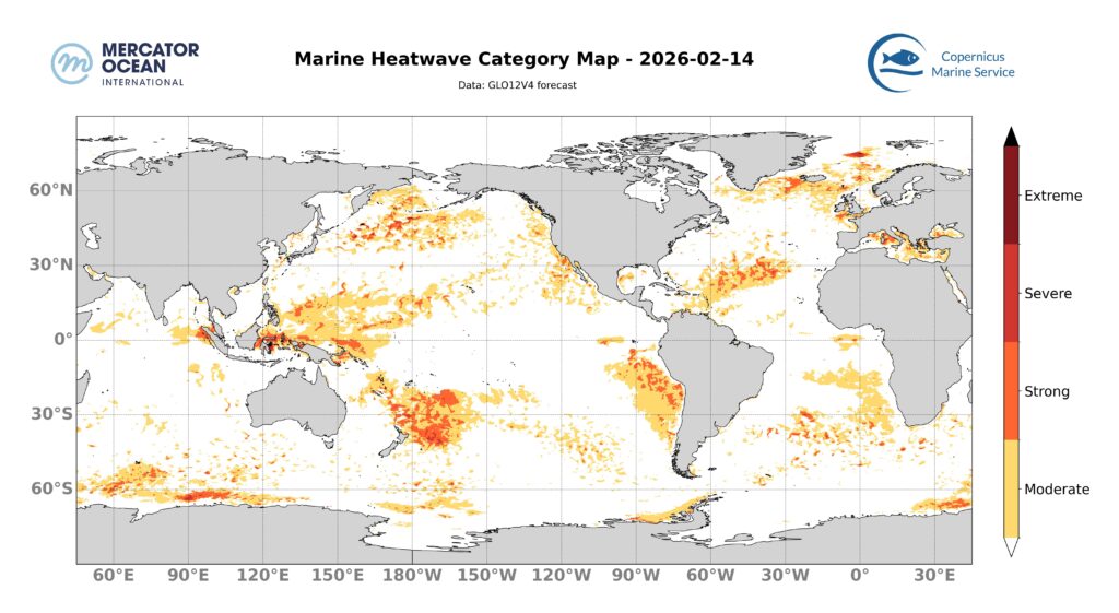 Marine heatwave categories 2/14/2026