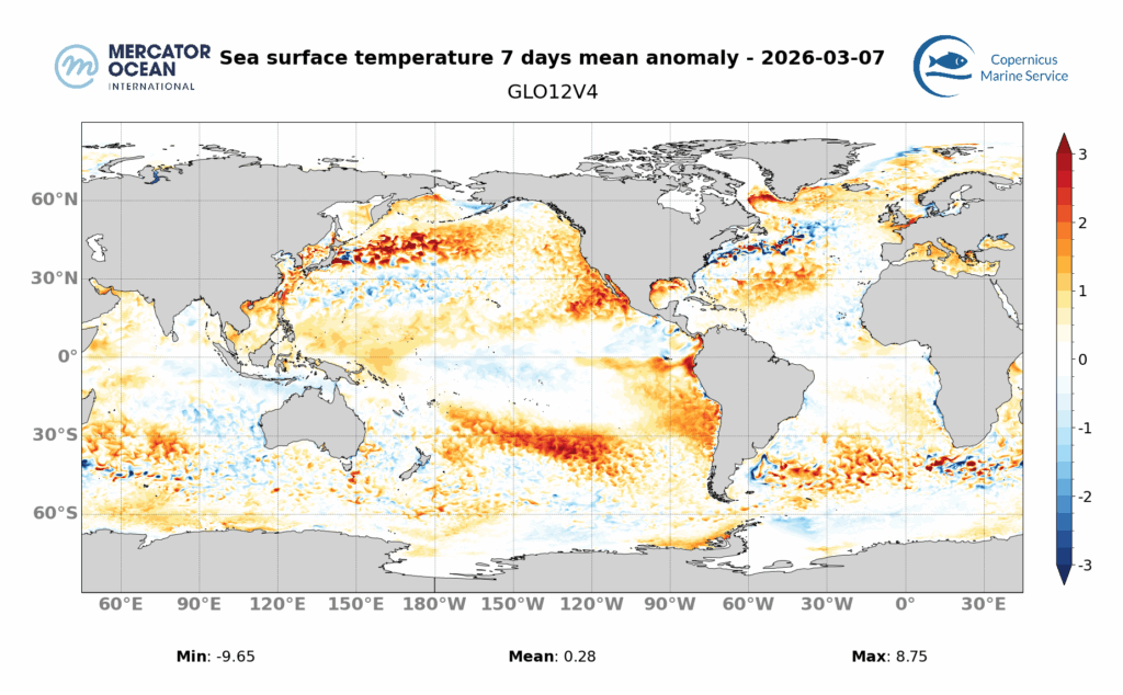 SST Anomaly 03/07/2026