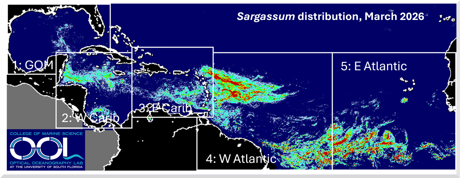 sargasso map march 2026