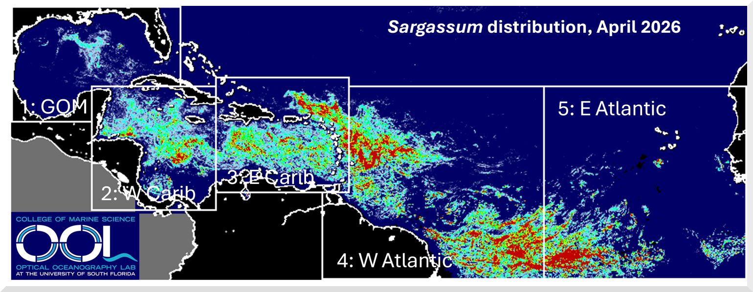 Sargasso map April 2026