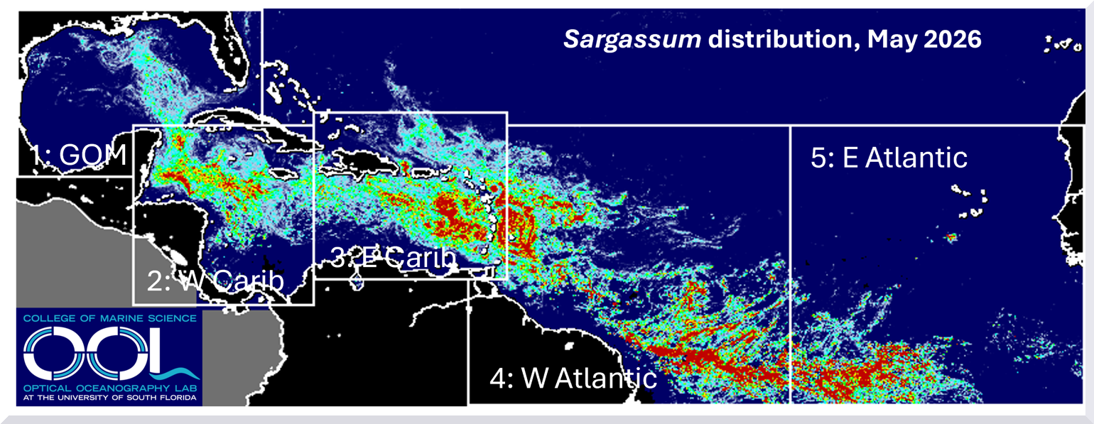 Sargasso May 2026