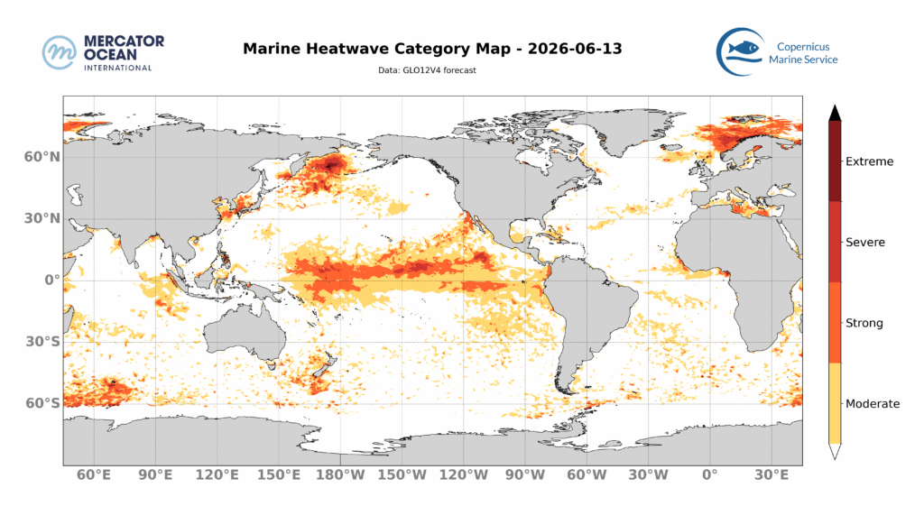 SST GLOBAL JUNE 13,2026