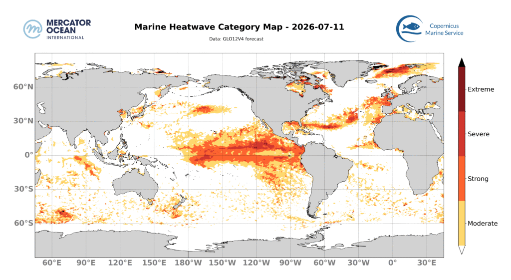 SST World JUly 11 2026