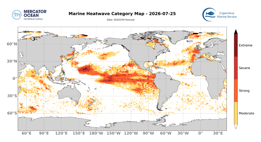 Global SST July 25, 2026
