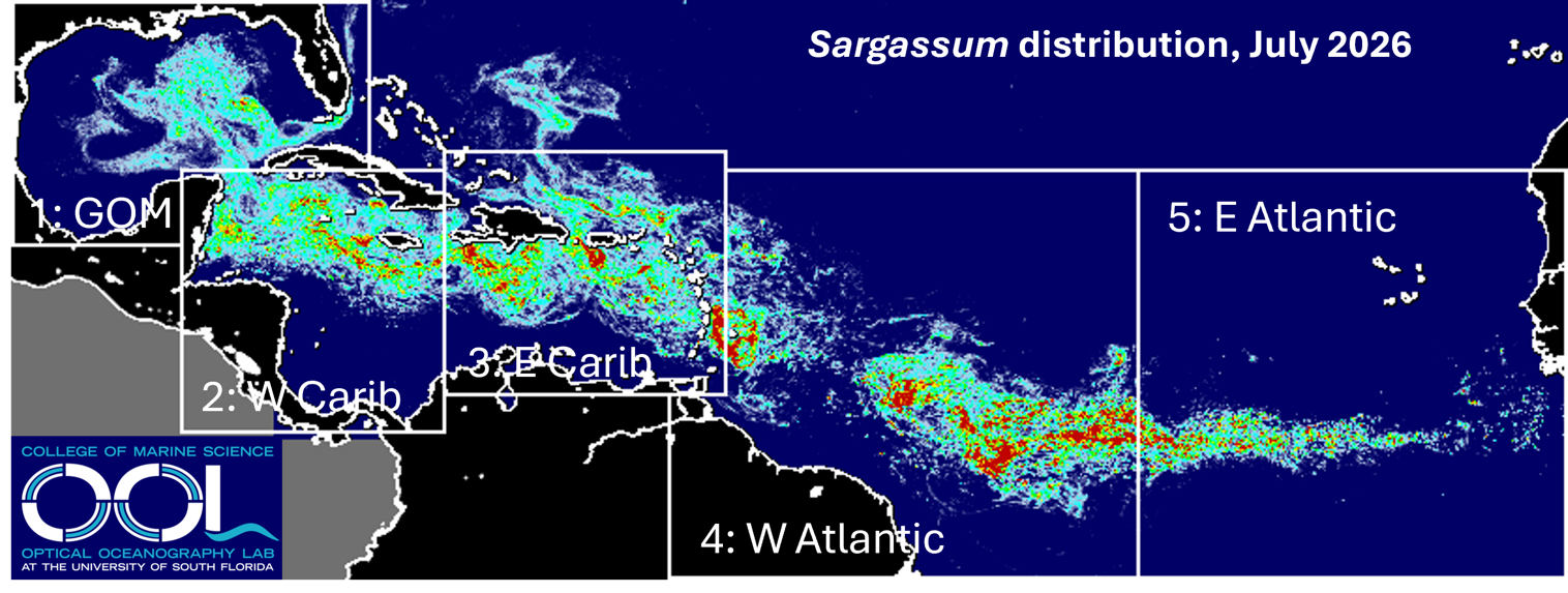 Sargassum Outlook July 2026