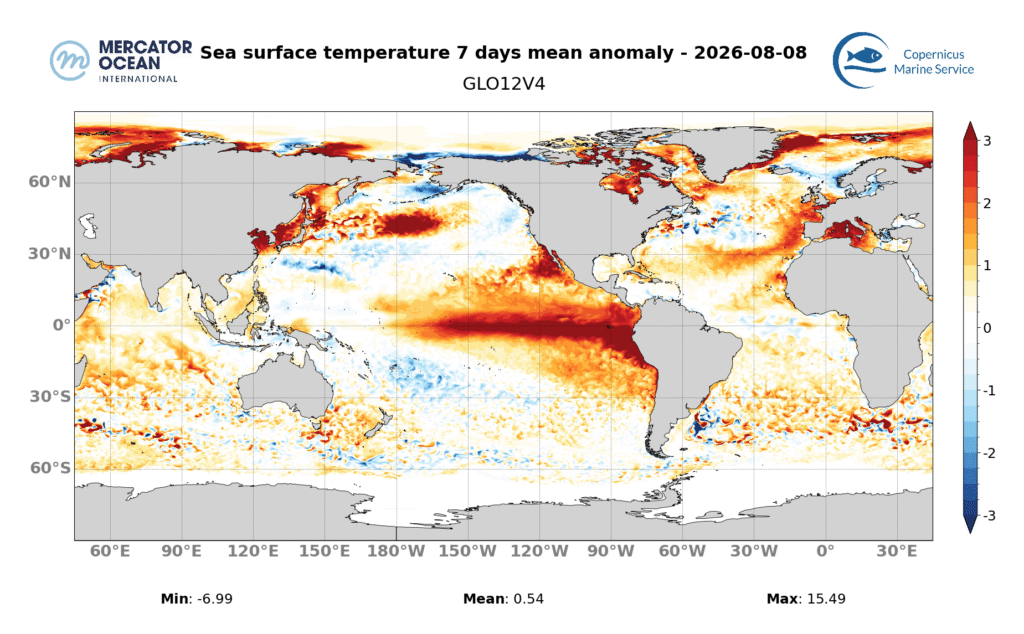 Weekly mean sea surface temperature anomalies for the week 2 – 8 August 2026