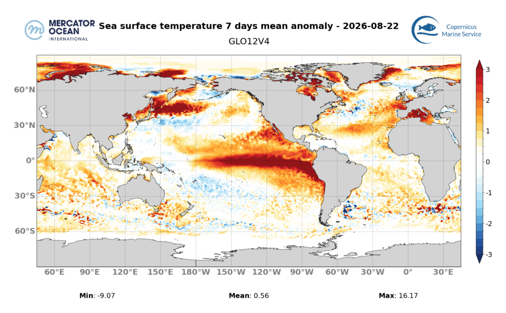 Marine heatwave category forecasts for 22 August, 2026 for the Global Ocean. Data: GLO12 forecast. Source: Copernicus Marine Service/Mercator Ocean International.