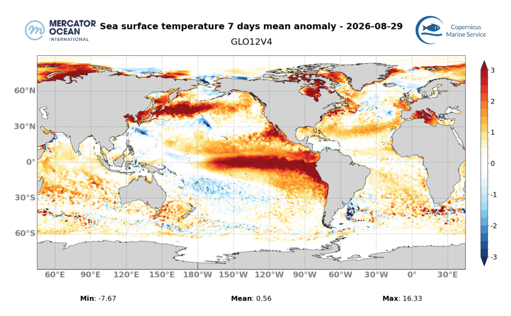 SST ANOMALY 08/29/2026 by MERCATOR OCEAN INT.