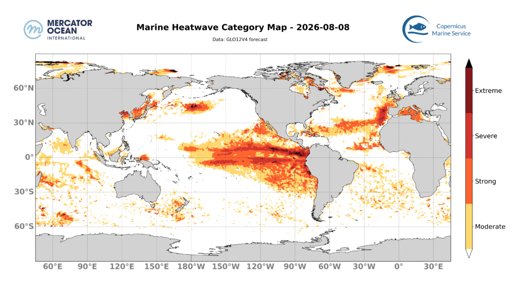 Marine heatwave category forecasts for 8 August, 2026 for the Global Ocean. Data: GLO12 forecast. Source: Mercator Ocean International.
