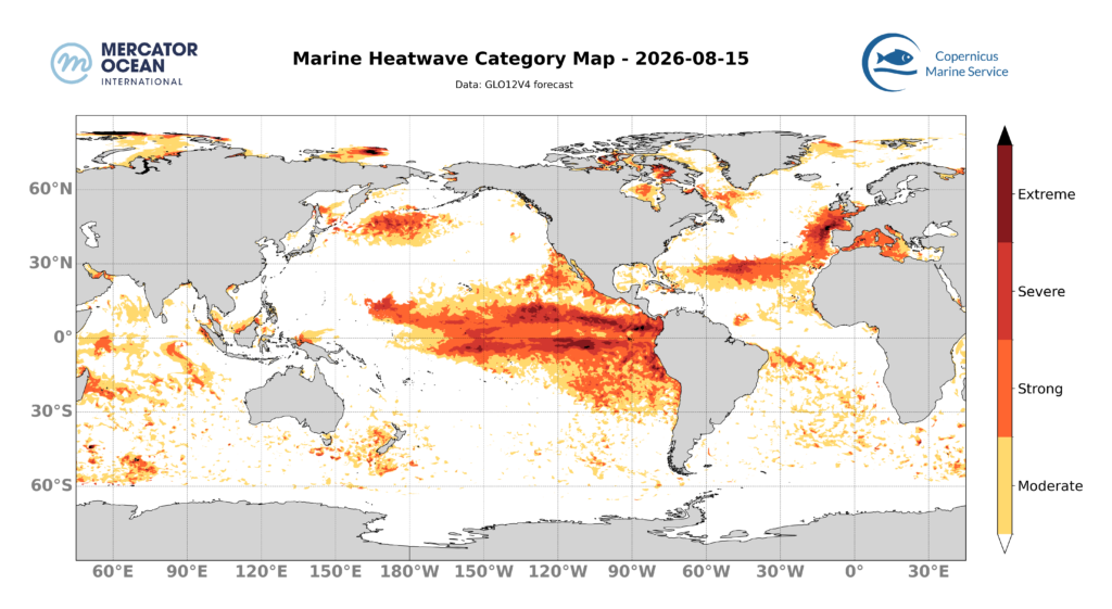 Marine heatwave category forecasts for 15 August, 2026 for the Global Ocean. Data: GLO12 forecast. Source: Copernicus Marine Service/Mercator Ocean International.