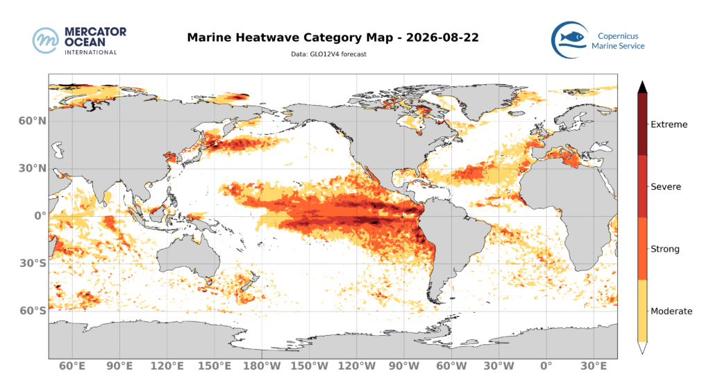 Marine heatwave category forecasts for 22 August, 2026 for the Global Ocean. Data: GLO12 forecast. Source: Copernicus Marine Service/Mercator Ocean International.