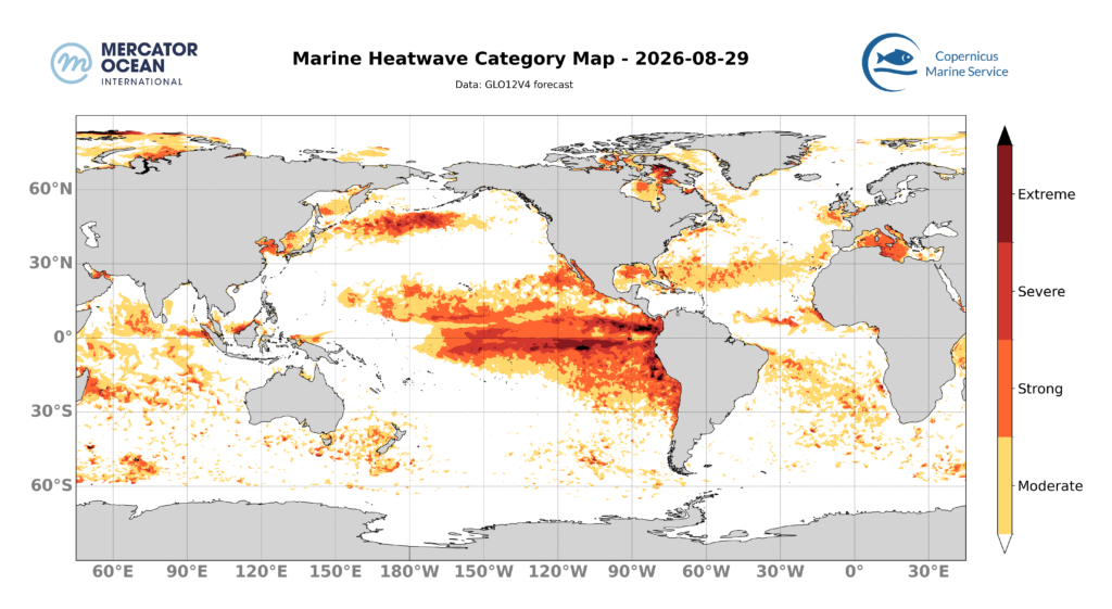 Marine heatwave category forecasts for 29 August, 2026 for the Global Ocean. Data: GLO12 forecast. Source: Copernicus Marine Service/Mercator Ocean International.