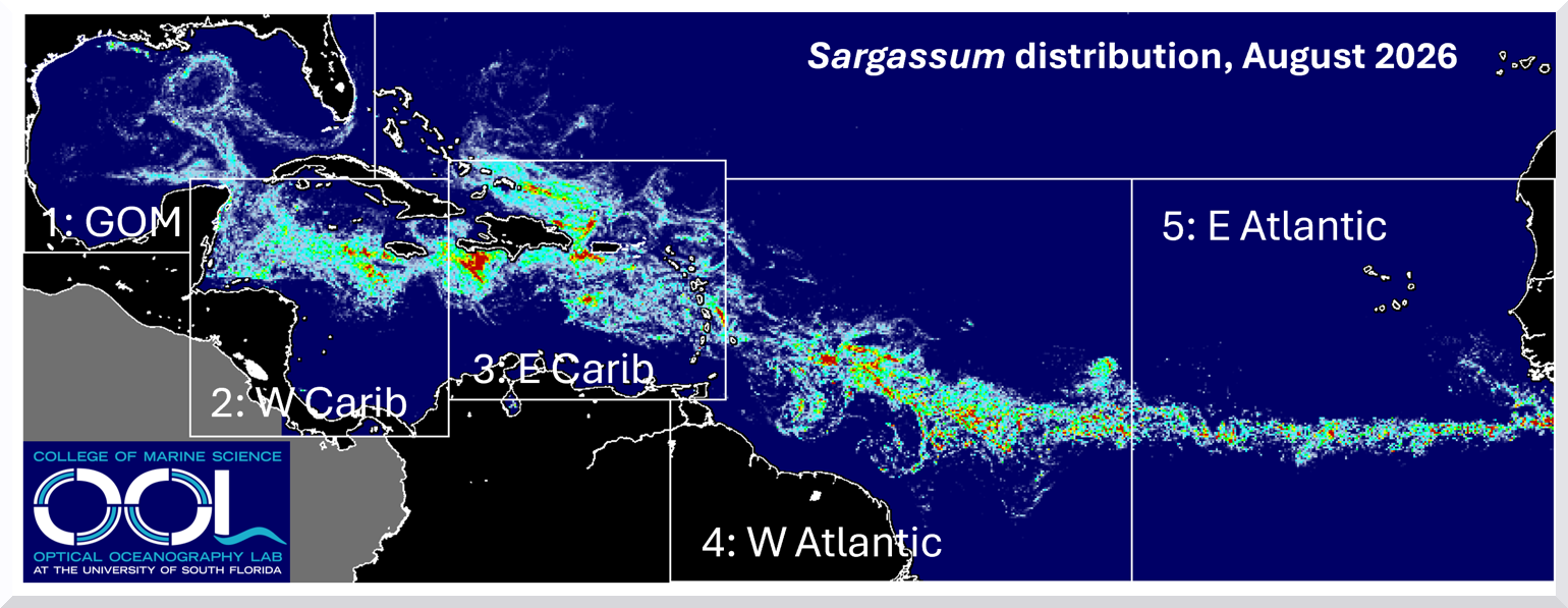 Sargassum Outlook Aug 31 2026