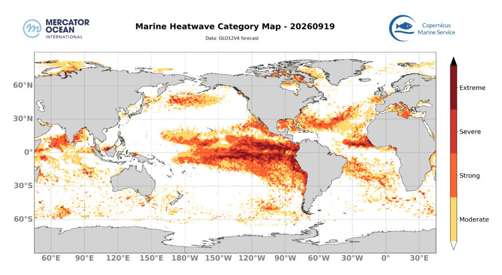 SST Sep 19 2026